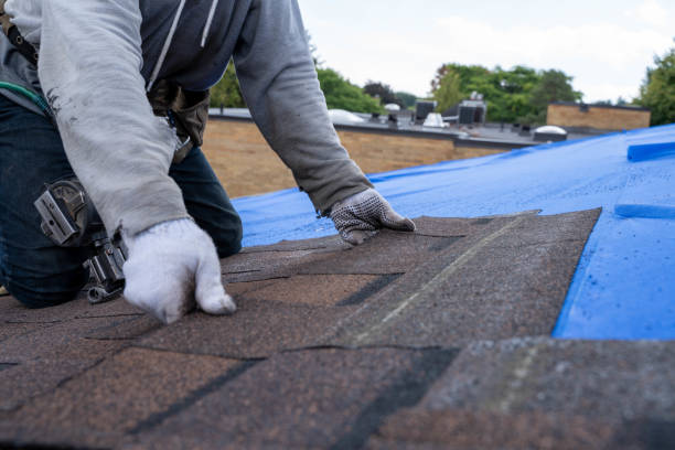 Best Metal Roofing Contractor  in Hamtramck, MI