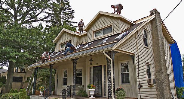 Roof Gutter Cleaning in Hamtramck, MI